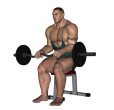 Reverse Curl - EZ Bar Seated Feet Up